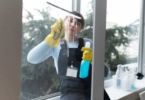 Nettoyage de vitres intérieures et extérieures à Cramans
